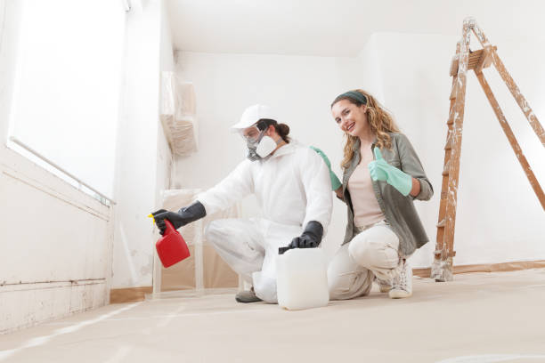 Mold Removal for HVAC Installations in Seymour, MO